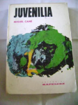 Juvenilia vignette