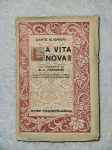 Vita Nova vignette
