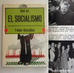 Qué es el socialismo vignette